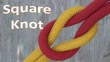 Square Knot